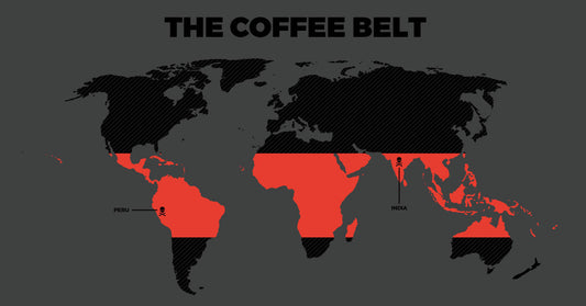 Where is coffee grown?